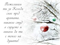 Пожелавам ти за Коледа сняг пред вратата, никакъв студ в сърцето и винаги да ти е топло на душата!