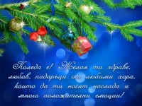Коледа е! Желая ти здраве, любов, подаръци от любими хора, които да ти носят наслада и много положителни емоции!