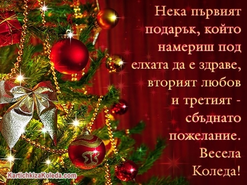 Нека първият подарък, който намериш под елхата да е здраве, вторият любов и третият - сбъднато пожелание. Весела Коледа!