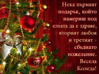 Нека първият подарък, който намериш под елхата да е здраве, вторият любов и третият - сбъднато пожелание. Весела Коледа!