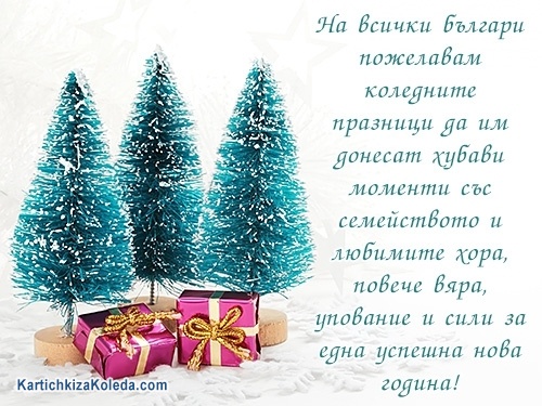 На всички българи пожелавам коледните празници да им донесат хубави моменти със семейството и любимите хора, повече вяра, упование и сили за една успешна нова година!